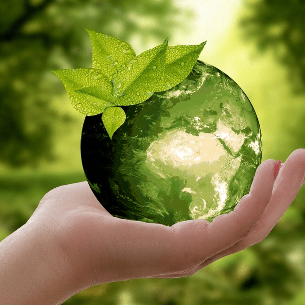 sustainability practices