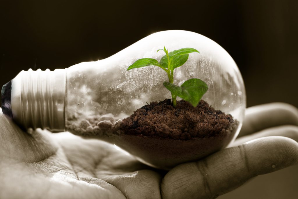 sustainable practices