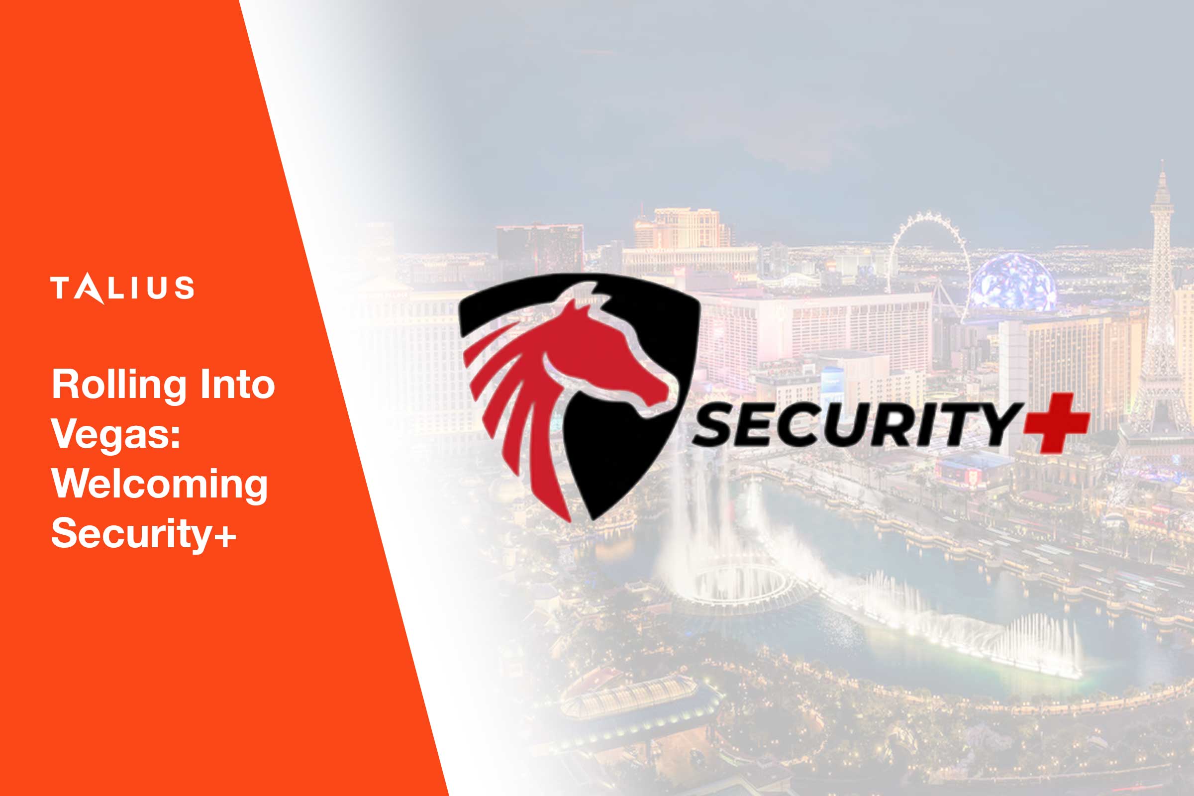 New Dealer Banner FOR SECURITY+